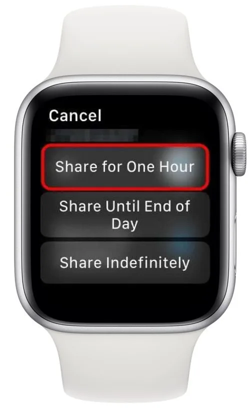 can apple watch track location without iphone